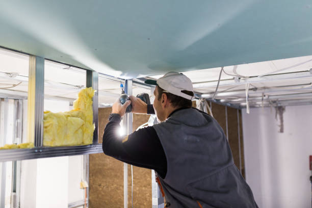Best Spray Foam Insulation in Mshall, AR