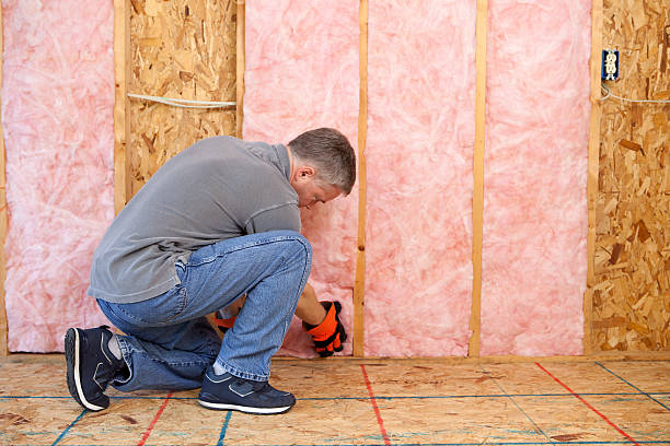Best Commercial Insulation in Mshall, AR