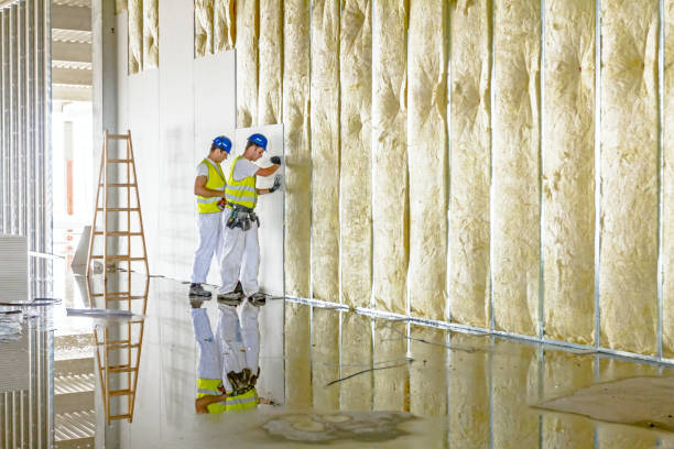 Best Energy Efficiency Insulation in Mshall, AR
